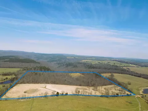 Golden Pond Lane, Witt Springs, AR 72686