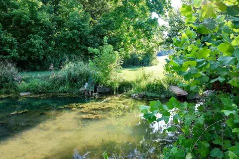 620 Riverview Dr, Mammoth Spring, AR 72554 photo 15