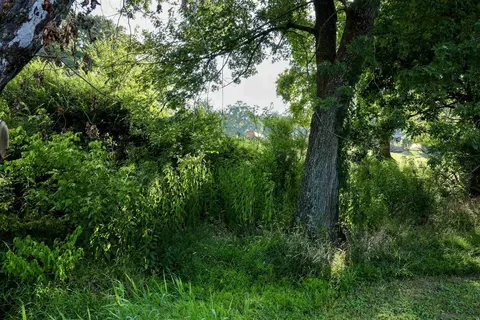 620 Riverview Dr, Mammoth Spring, AR 72554 photo 6