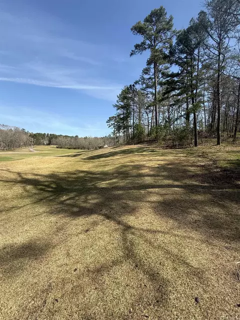 104 Ferdinand Way, Hot Springs Village, AR 71909
