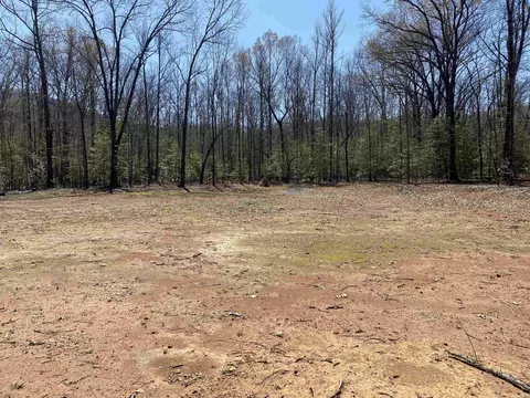 84 Creek, Mount Ida, AR 71957 photo 7