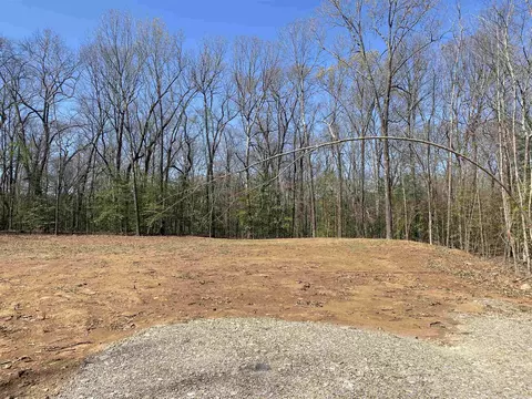 84 Creek, Mount Ida, AR 71957 photo 4