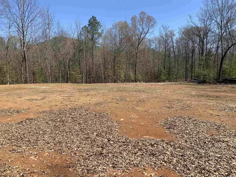 84 Creek, Mount Ida, AR 71957 photo 6