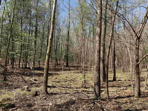 84 Creek, Mount Ida, AR 71957 photo 14