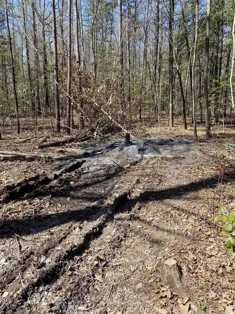 84 Creek, Mount Ida, AR 71957 photo 12