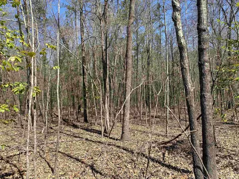 84 Creek, Mount Ida, AR 71957 photo 10