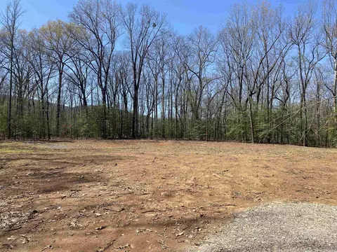 84 Creek, Mount Ida, AR 71957 photo 5