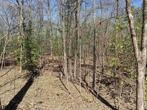 84 Creek, Mount Ida, AR 71957 photo 9