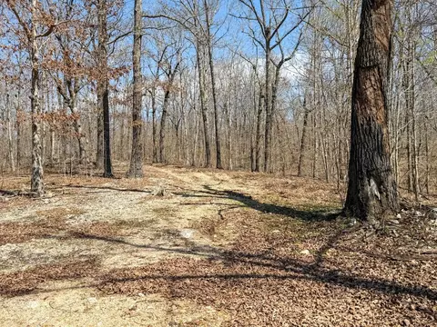 Exterior - 7946 Heart Rd, Mammoth Spring, AR 72554 photo 10 of 10