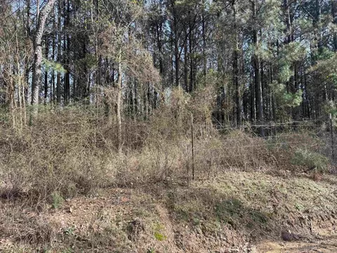 tbd Polk Road 13, Wickes, AR 71973 photo 1