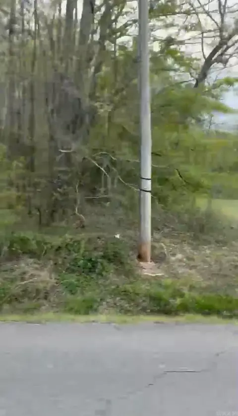 Shannon & Oakwood, Pine Bluff, AR 71603 photo 11