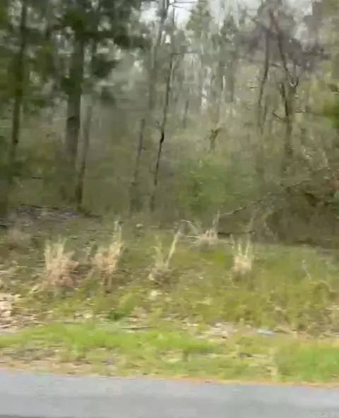 Shannon & Oakwood, Pine Bluff, AR 71603 photo 3