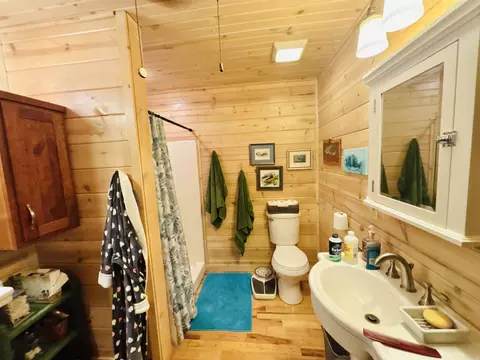 Bath - 1915 Ridge Rd, Mountain View, AR 72560 photo 2 of 4