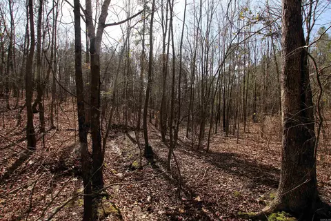 2986 E Mountain Rd, Clinton, AR 72031 photo 29
