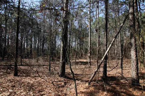 2986 E Mountain Rd, Clinton, AR 72031 photo 12