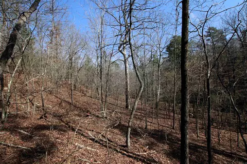 2986 E Mountain Rd, Clinton, AR 72031 photo 34