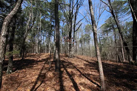 2986 E Mountain Rd, Clinton, AR 72031 photo 28