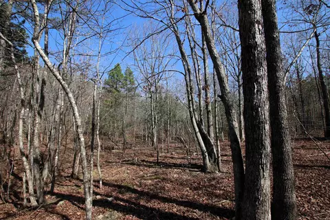 2986 E Mountain Rd, Clinton, AR 72031 photo 30