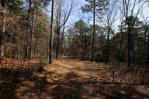 2986 E Mountain Rd, Clinton, AR 72031 photo 22