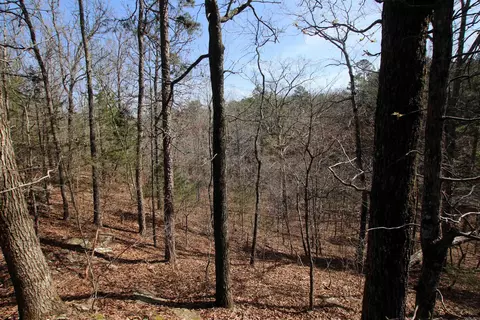 2986 E Mountain Rd, Clinton, AR 72031 photo 33