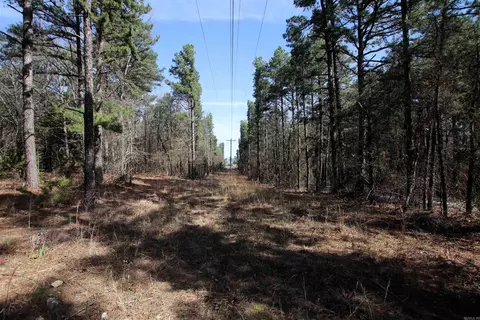 2986 E Mountain Rd, Clinton, AR 72031 photo 10