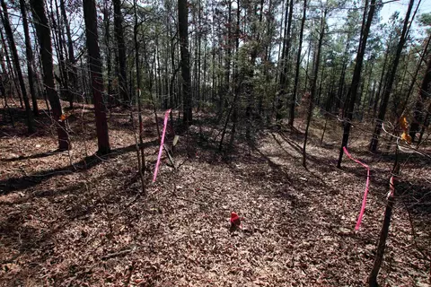 2986 E Mountain Rd, Clinton, AR 72031 photo 27