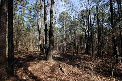 2986 E Mountain Rd, Clinton, AR 72031 photo 18