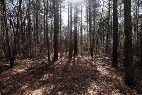 2986 E Mountain Rd, Clinton, AR 72031 photo 15