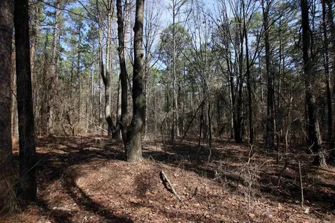 2986 E Mountain Rd, Clinton, AR 72031 photo 19