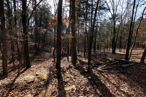 2986 E Mountain Rd, Clinton, AR 72031 photo 23