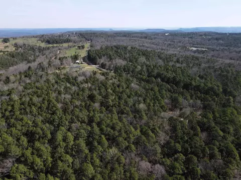 2986 E Mountain Rd, Clinton, AR 72031 photo 2
