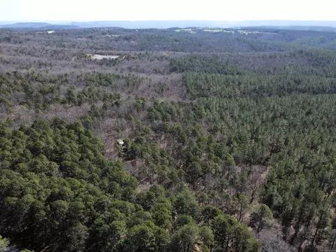 2986 E Mountain Rd, Clinton, AR 72031 photo 6