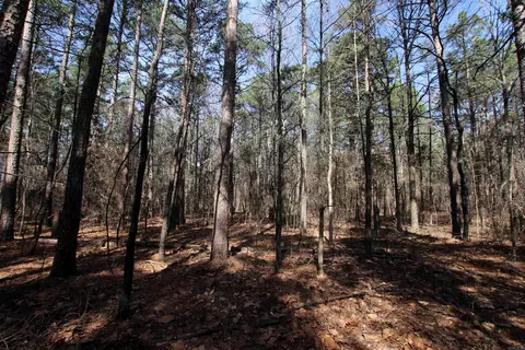 2986 E Mountain Rd, Clinton, AR 72031 photo 20