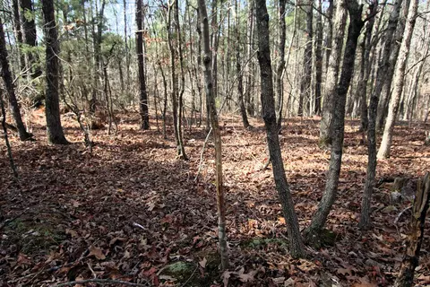 2986 E Mountain Rd, Clinton, AR 72031 photo 31