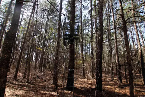 2986 E Mountain Rd, Clinton, AR 72031 photo 13