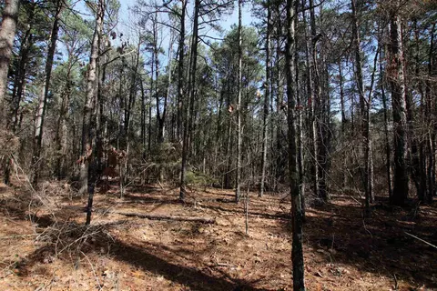 2986 E Mountain Rd, Clinton, AR 72031 photo 11
