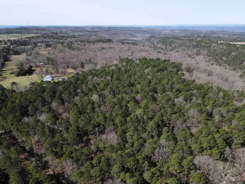 2986 E Mountain Rd, Clinton, AR 72031 photo 5