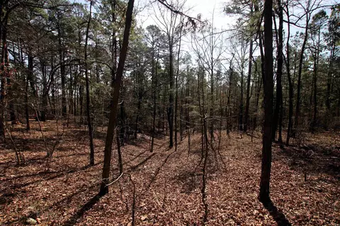 2986 E Mountain Rd, Clinton, AR 72031 photo 26