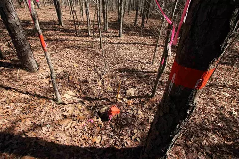 2986 E Mountain Rd, Clinton, AR 72031 photo 36
