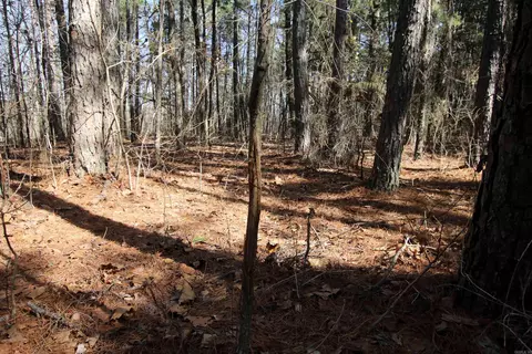 2986 E Mountain Rd, Clinton, AR 72031 photo 16