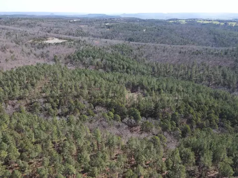 2986 E Mountain Rd, Clinton, AR 72031 photo 7