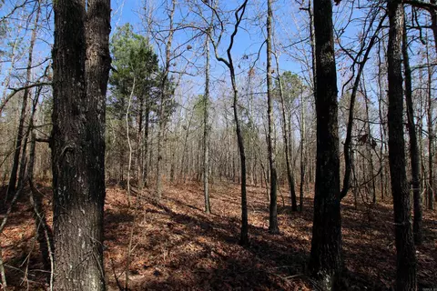 2986 E Mountain Rd, Clinton, AR 72031 photo 32