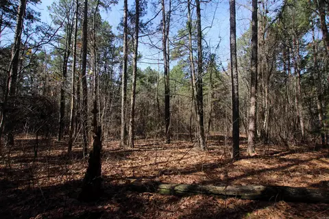 2986 E Mountain Rd, Clinton, AR 72031 photo 14