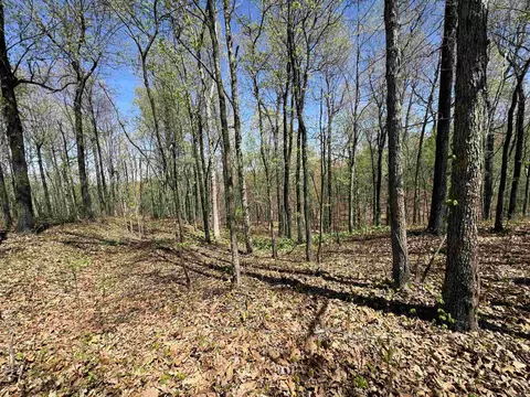 0 Clay Rd 431, Pollard, AR 72456