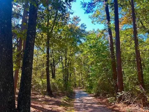 378 Cemetery Rd, Mountain View, AR 72560 photo 36