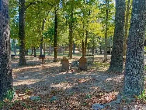 378 Cemetery Rd, Mountain View, AR 72560 photo 22