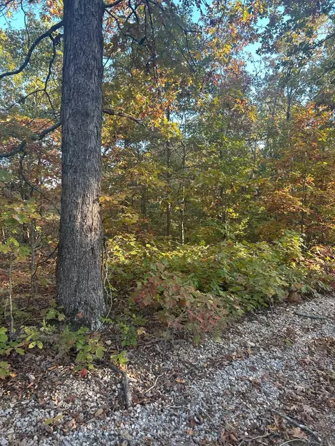 tbd Cr 146, Henderson, AR 72544