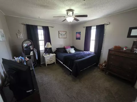 Bedroom - 43 E Main St, Greenbrier, AR 72058 photo 2 of 4