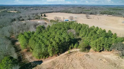 428 Pumpkin Center Cir, Quitman, AR 72131