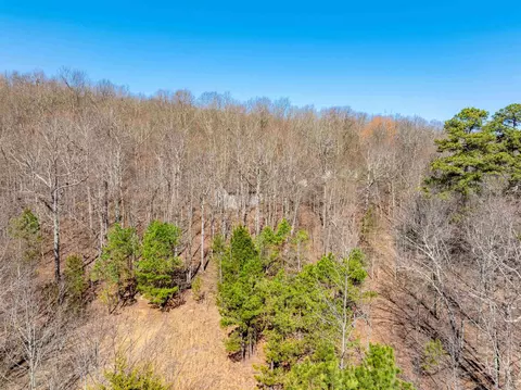 0 Jimmy Creek Rd, Fox, AR 72051 photo 10
